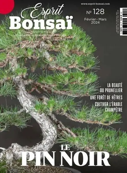 Esprit Bonsai – Fevrier-Mars 2024