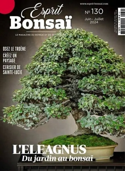 Esprit Bonsai – Juin-Juillet 2024