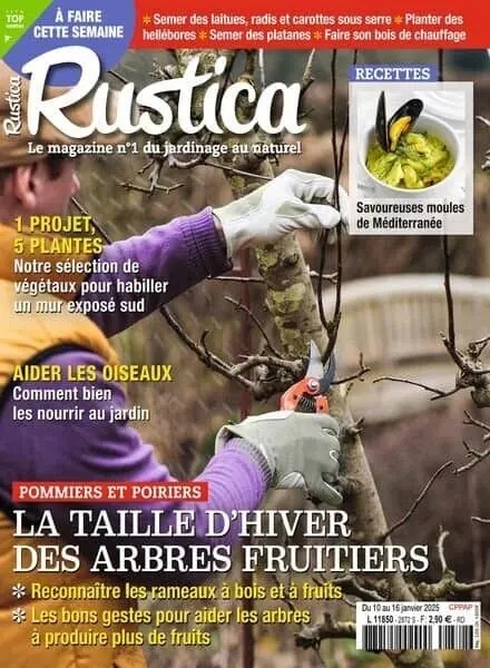 Rustica – 10 Janvier 2025