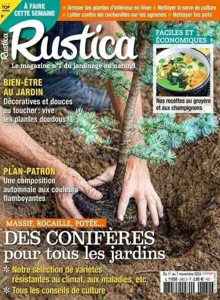 Rustica – 1er Novembre 2024