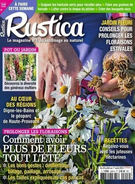 Rustica – 26 Juillet 2024