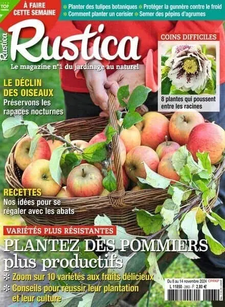 Rustica – 8 Novembre 2024