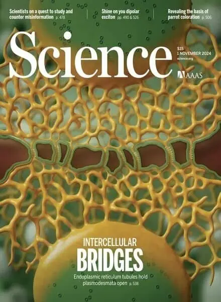 Science – 1 November 2024