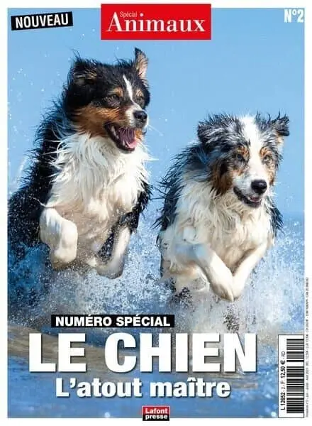 Special Animaux – Juin-Juillet-Aout 2024