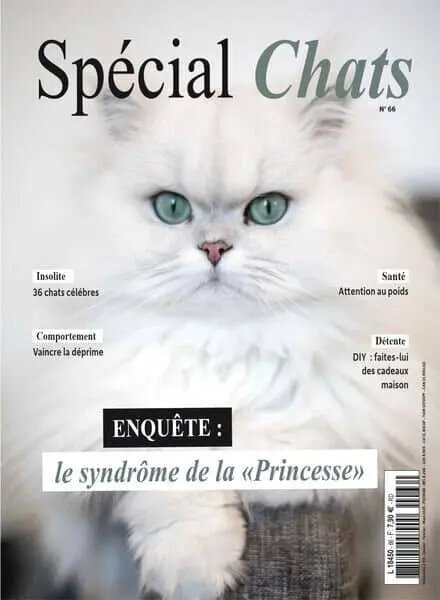 Special Chats – Janvier-Fevrier-Mars 2025