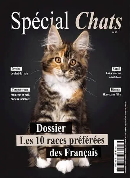 Special Chats – Octobre-Novembre-Decembre 2024