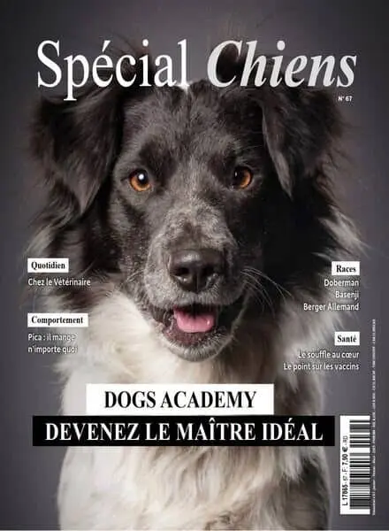 Special Chiens – Janvier-Fevrier-Mars 2025