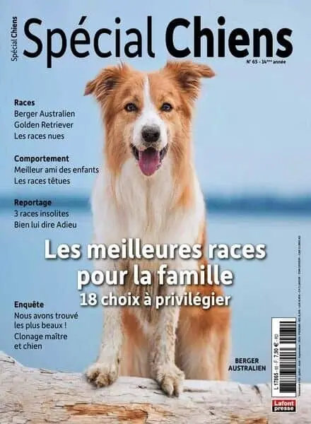 Special Chiens – Juillet-Aout-Septembre 2024