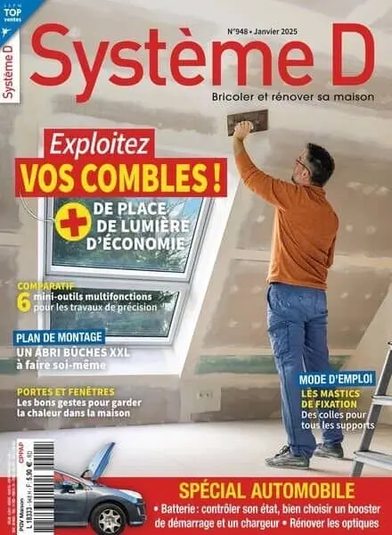 Systeme D – Janvier 2025